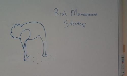 Riskmanagementstrategy